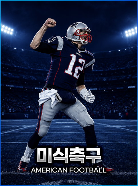 미식축구