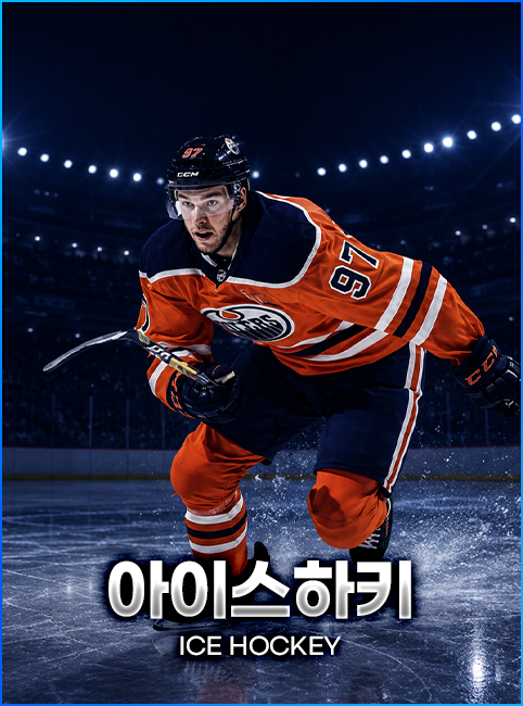 아이스 하키